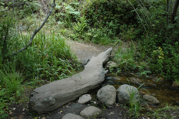Soberanes Canyon 039.jpg